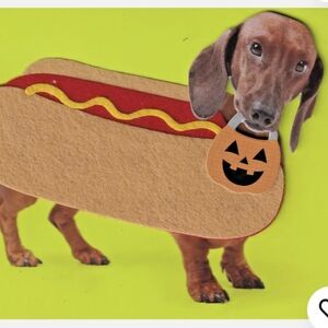 PAPYRUS weiner dog Halloween greeting Card